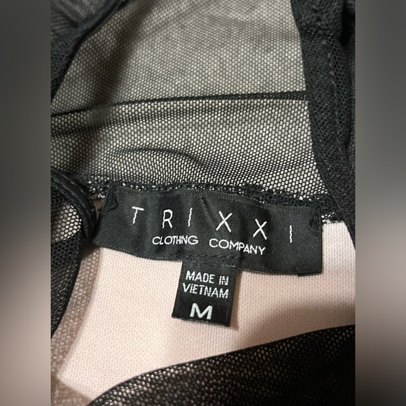 Baby Pink and Black Rosette Mesh Dress - Picture 2 of 6